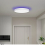 Потолочный светильник Yeelight Arwen Ceiling Light 450S (YLXD013)