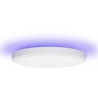 Потолочный светильник Yeelight Arwen Ceiling Light 550S (YLXD013-A)