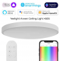 Потолочный светильник Yeelight Arwen Ceiling Light 450S (YLXD013)