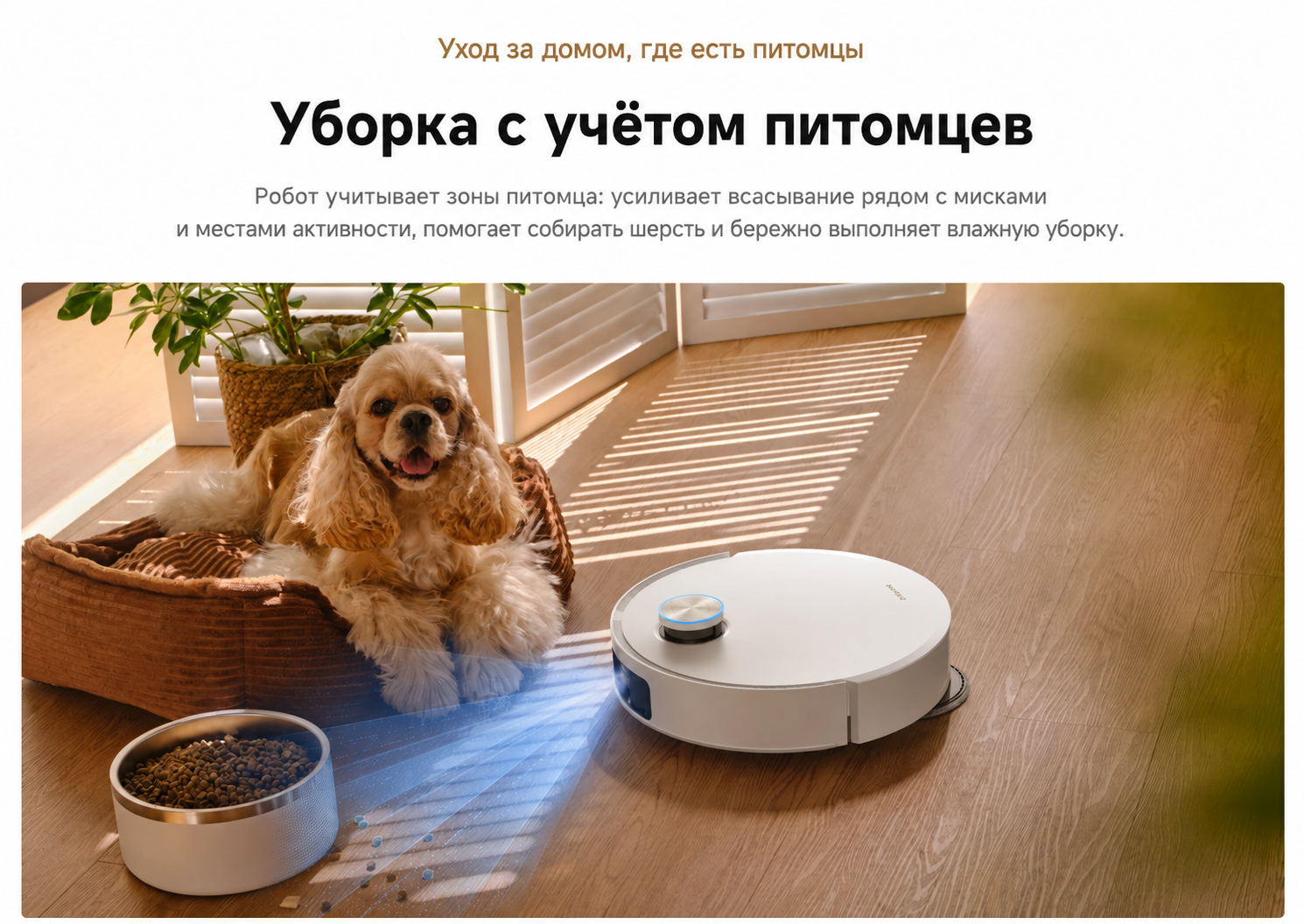 Dreame L60 Ultra для уборки дома с домашними животными