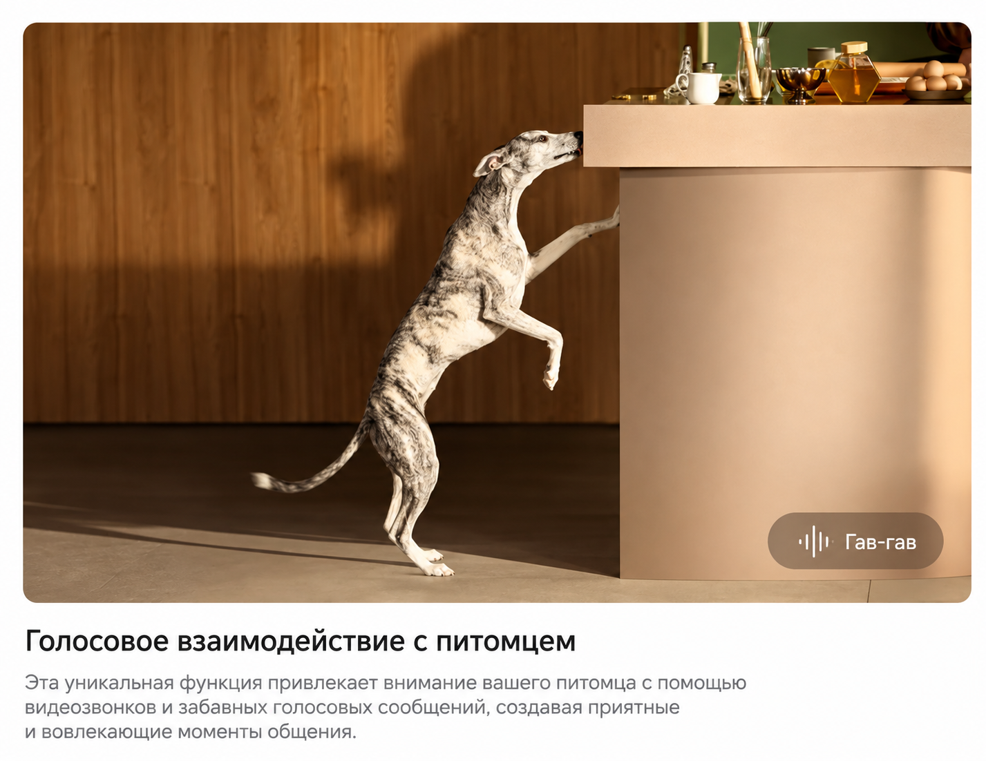 Режимы для питомцев Dreame Bot X60 Pro Ultra Matrix RU