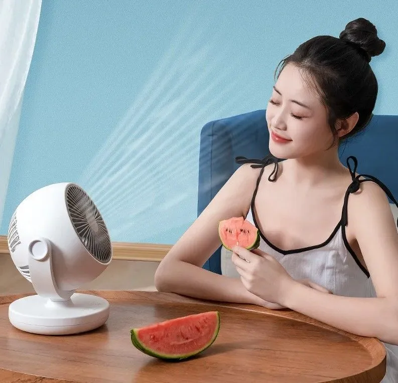 Вентилятор настольный Lydsto Desktop Circulating Fan High Configuration Version GL (XD-ZMXHS02) Вентилятор настольный Lydsto Desktop Circulating Fan High Configuration Version GL (XD-ZMXHS02)