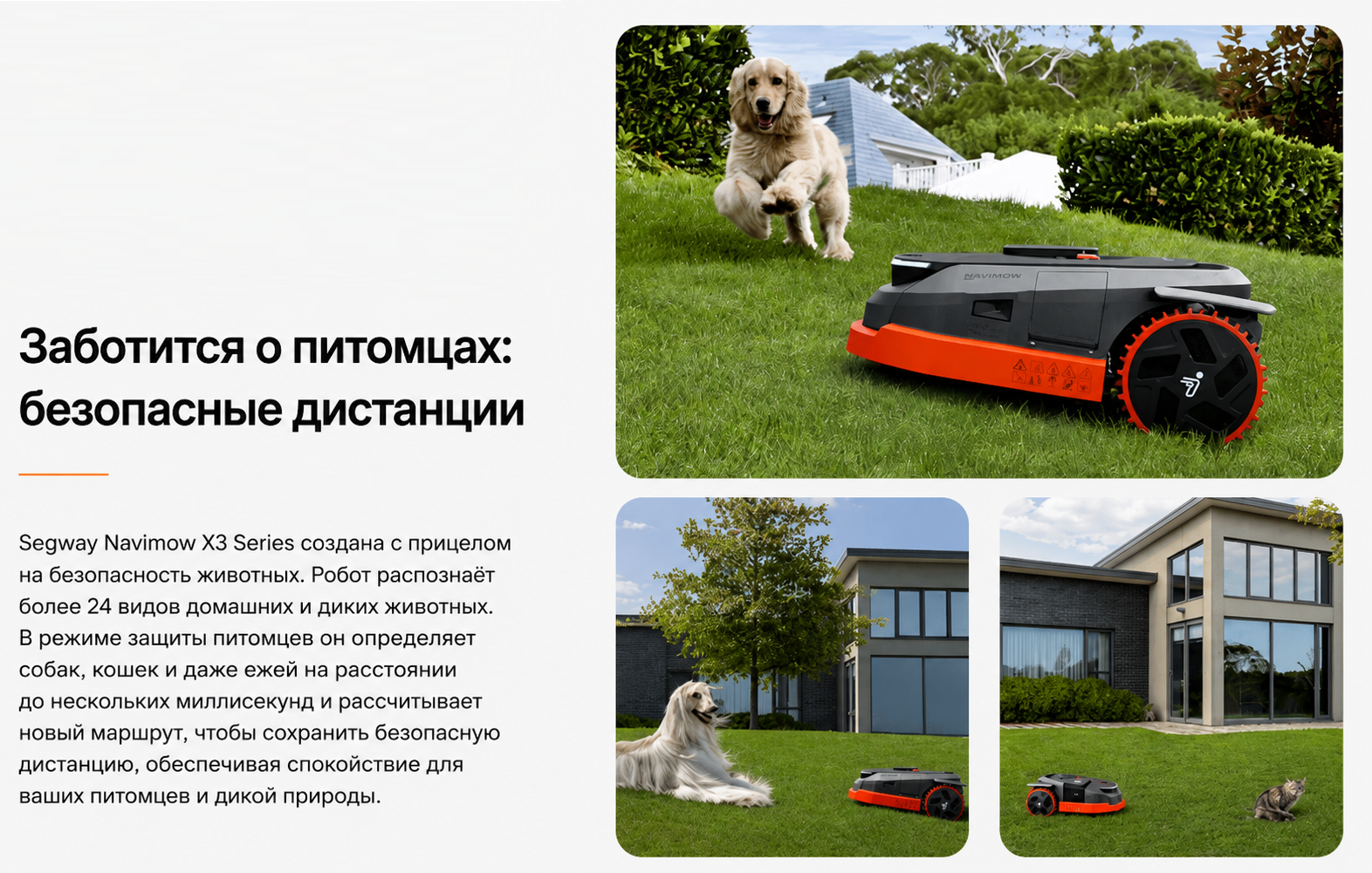 Режим защиты животных робота-газонокосилки Segway Navimow X315A
