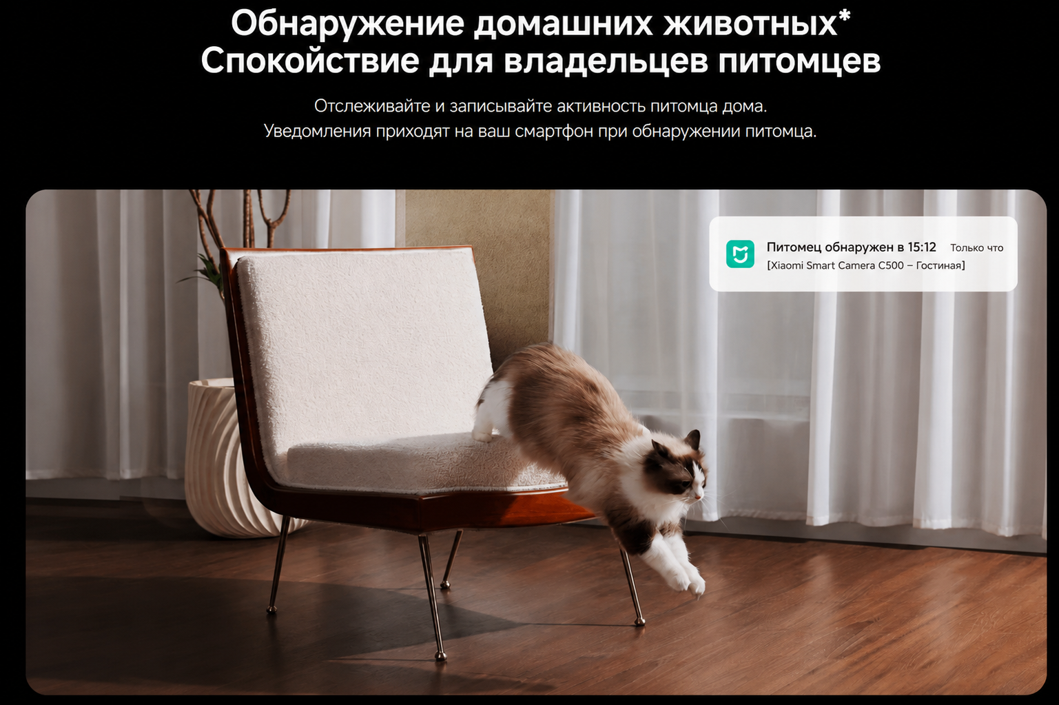 Распознавание кошек и собак Xiaomi Smart Camera C500